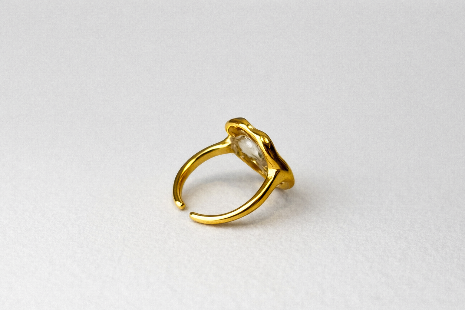 Anillo Nieve Silvestre