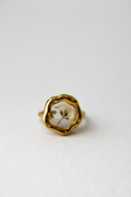 Anillo Nieve Silvestre