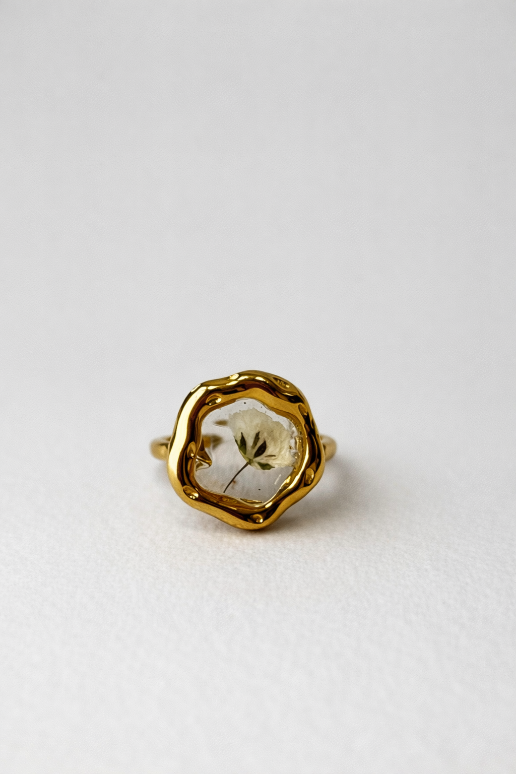 Anillo Nieve Silvestre