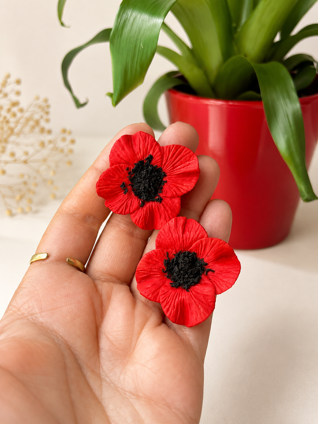 Amapola Viva